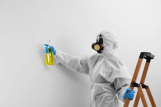 Why You Should Choose Our Mold Remediation Services in Commerce, CA